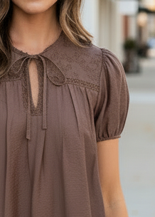Brown Pintuck Short Sleeve Top