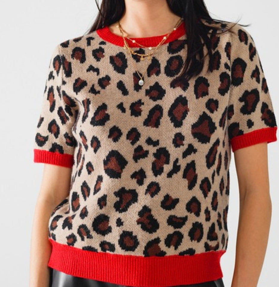 Cozy Leopard Print Sweater - Jolie Femme Boutique