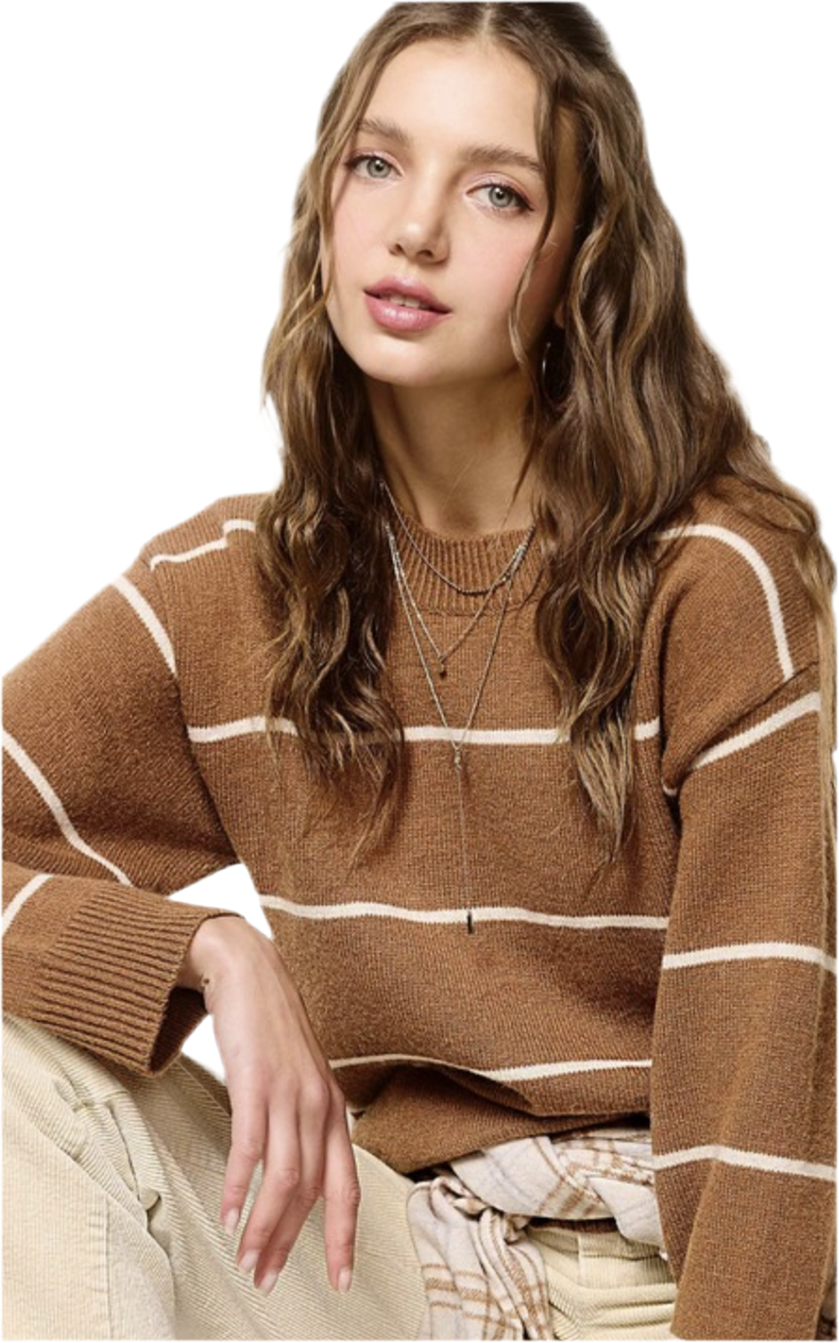 Lose Fit Stripe Sweater