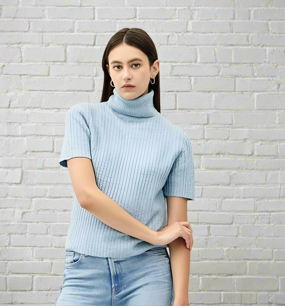 Turtleneck Short Sleeve Sweater