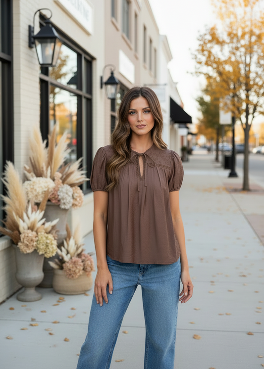 Brown Pintuck Short Sleeve Top