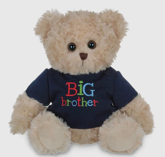 Big Brother Teddy Bear