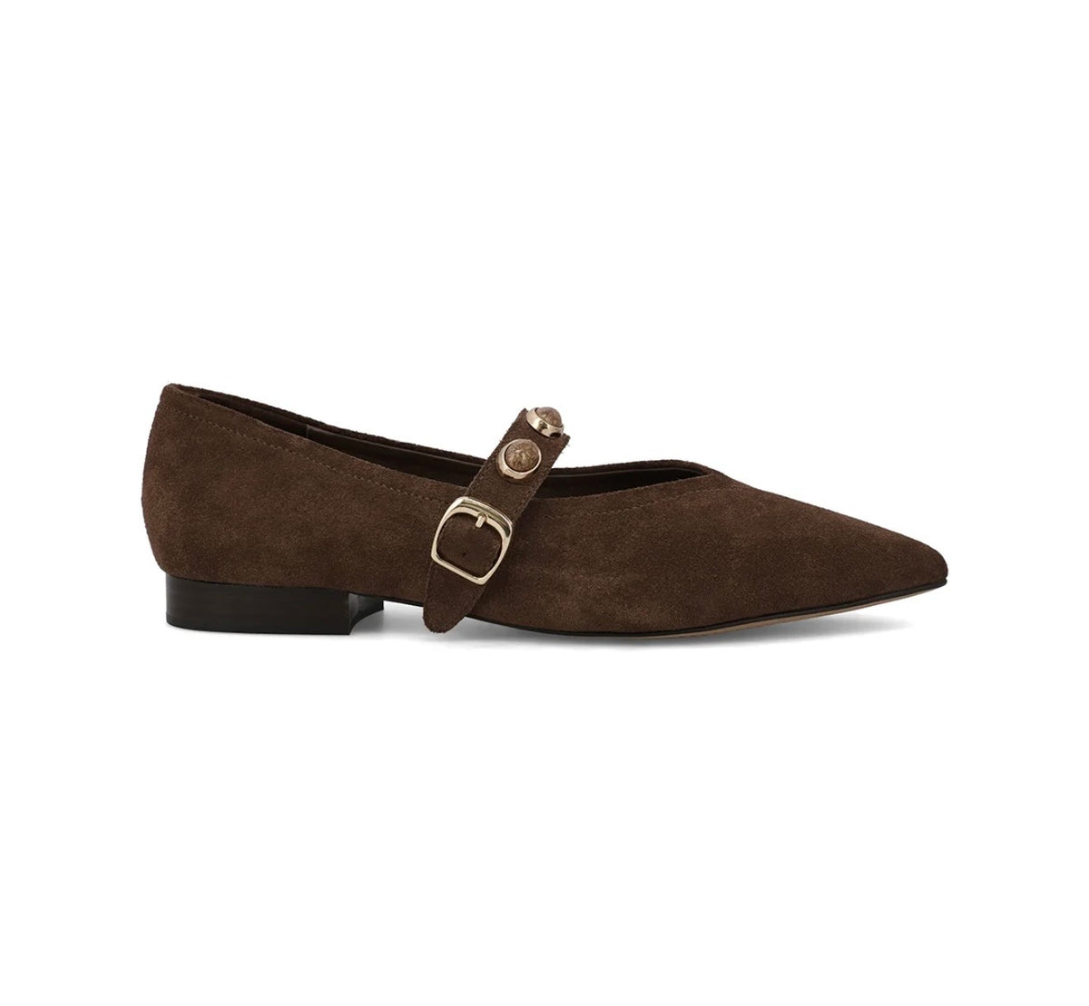 MIA Mia Abrina suede flat shoe in a classic low-profile design